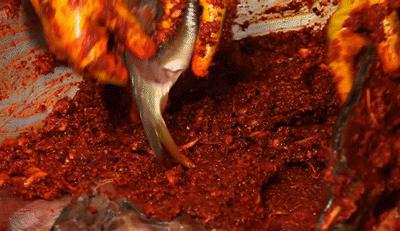 卢渔翁鲜焖纸包鱼南昌,卢渔翁鲜焖纸包鱼套餐