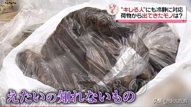 日本海关禁止入境物品名单最新,日本为什么入境禁止携带肉制品