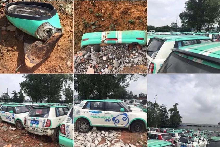 还未盛开便已凋零,还未绽放就凋零