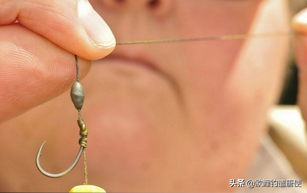 话说欧鲤钓诱饵篇,枯叶钓组和线辫钓组区别