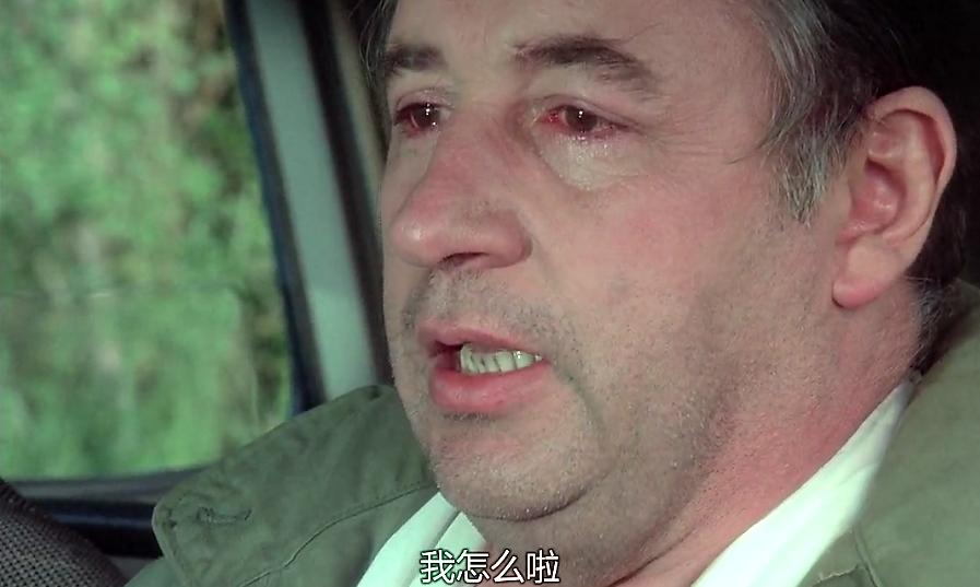 一个男人的复仇完整版,一个男人复仇杀了很多人