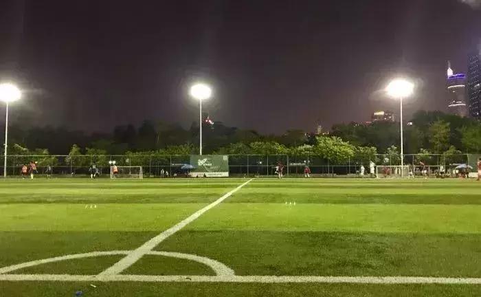 福田花卉世界最新规划,福田花卉世界新址