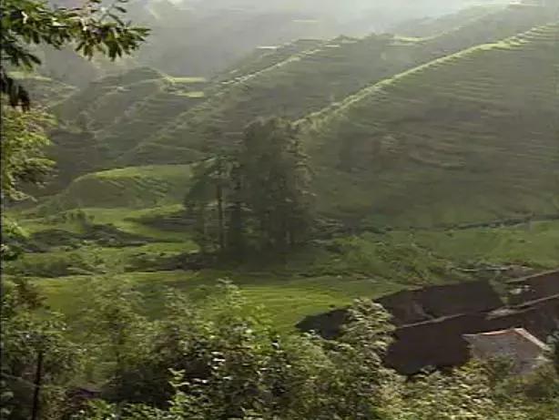 40年改革开放,广西发展有图有真相!