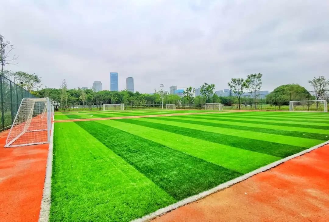 无锡东亭体育公园直播视频,无锡智慧体育公园