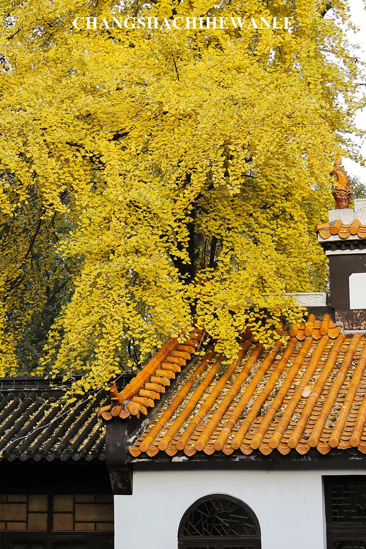 长沙轨道3号线沿线游玩攻略,长沙地铁省钱攻略