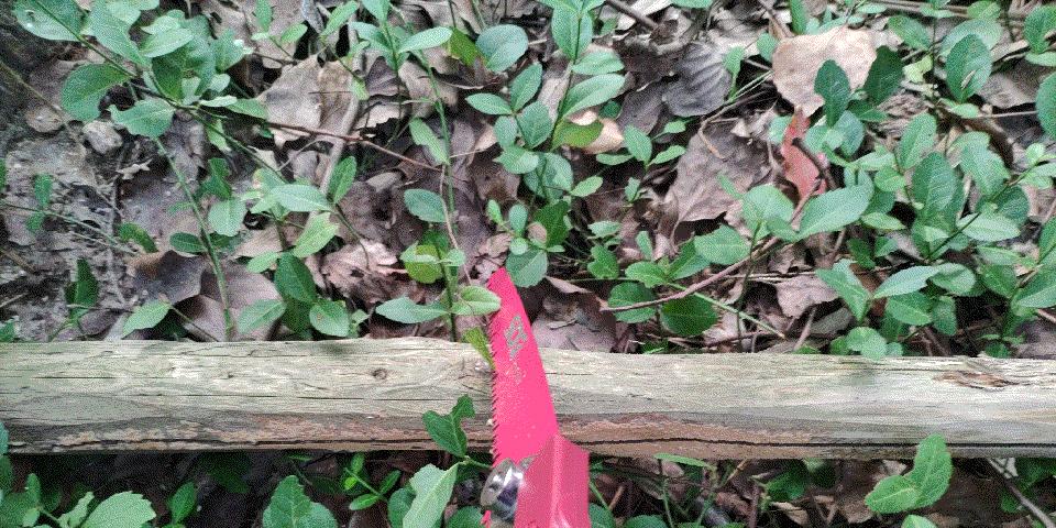 男人都是工具控，林老师的日常使用工具推荐