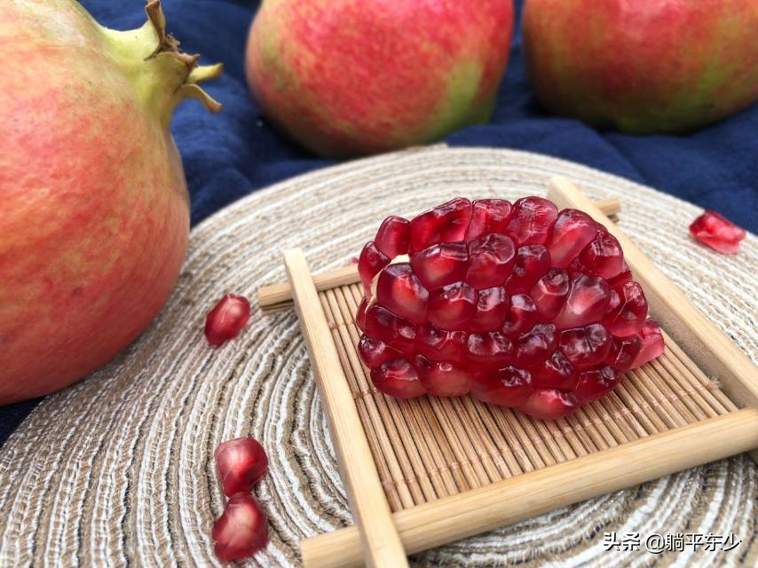 突尼斯软籽石榴苗真假辨别图片,突尼斯软籽石榴正宗苗