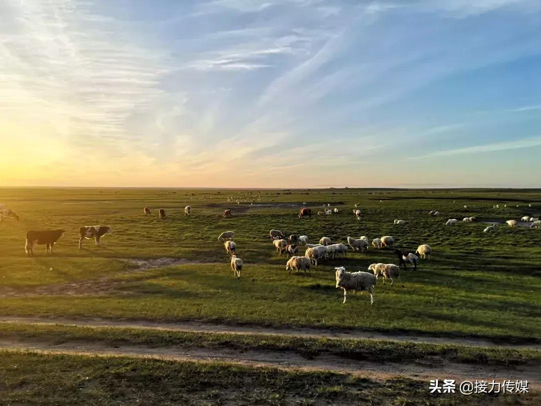 呼伦贝尔混合接力决赛,呼伦贝尔接力决赛