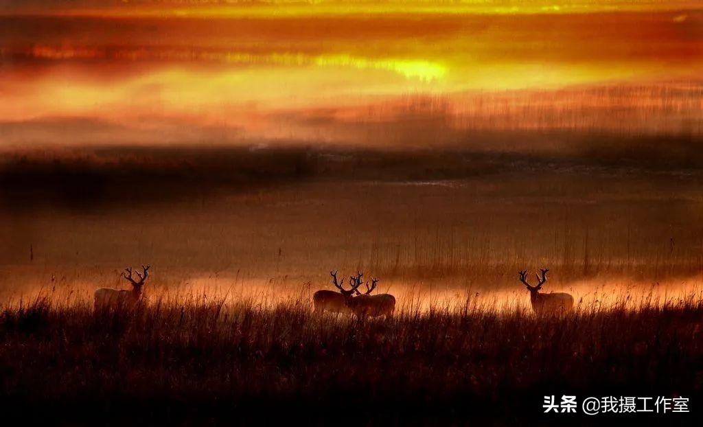 第16届国际摄影艺术展获奖作品,第29届全国摄影艺术展览作品集