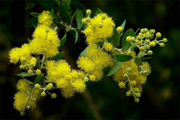 藏在球衫里的秘密——他们的球衣里为什么没有*旗国**色？