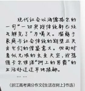 浙江高考满分作文事件,浙江满分作文被质疑