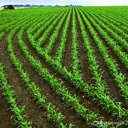 土壤驱动耙,五大竞争核心优势