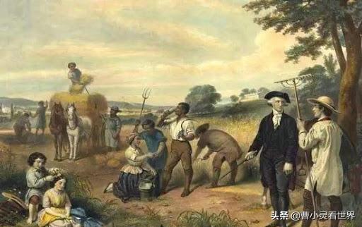 *疆新**棉花事件背后的真相