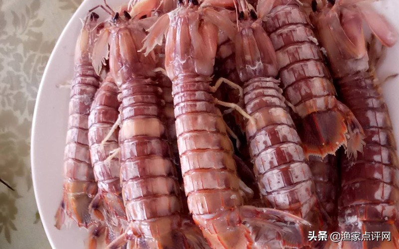 大连这个小岛不去看一看，真的会后悔