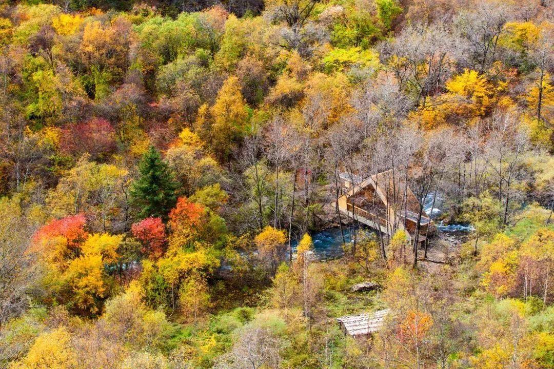 九寨沟旅游神奇的九寨,九寨沟风景不输瑞士