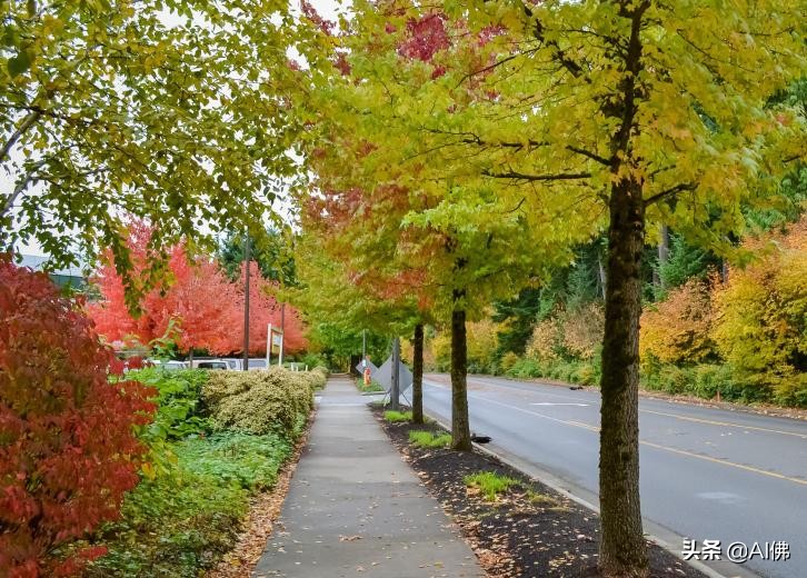 美国各州最适合居住的地方,美国加州适合居住的地