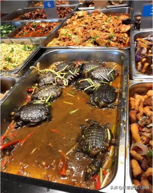 高校食堂最新硬核菜：12元就能买只甲鱼！长春大学食堂谁才是王者