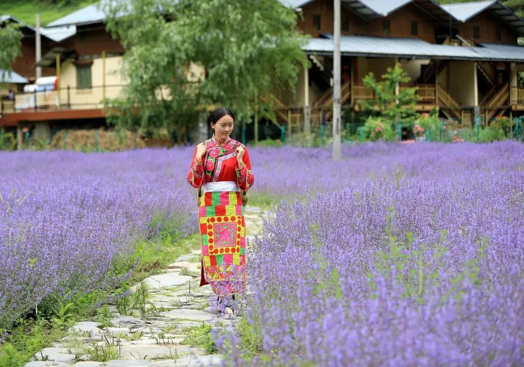 阿坝旅游网官网九寨沟,阿坝夏天二日游推荐