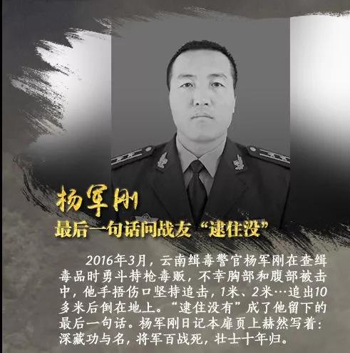 破冰行动原型案件警力,破冰行动真实抓捕事件