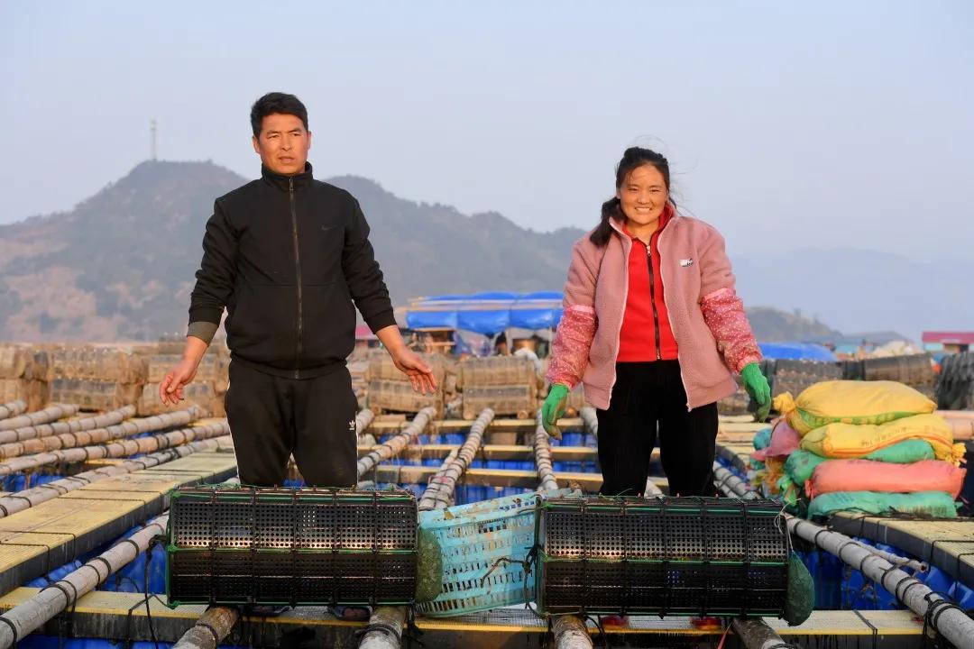 脱贫攻坚取得的伟大成就,彪炳史册的伟大奇迹全文