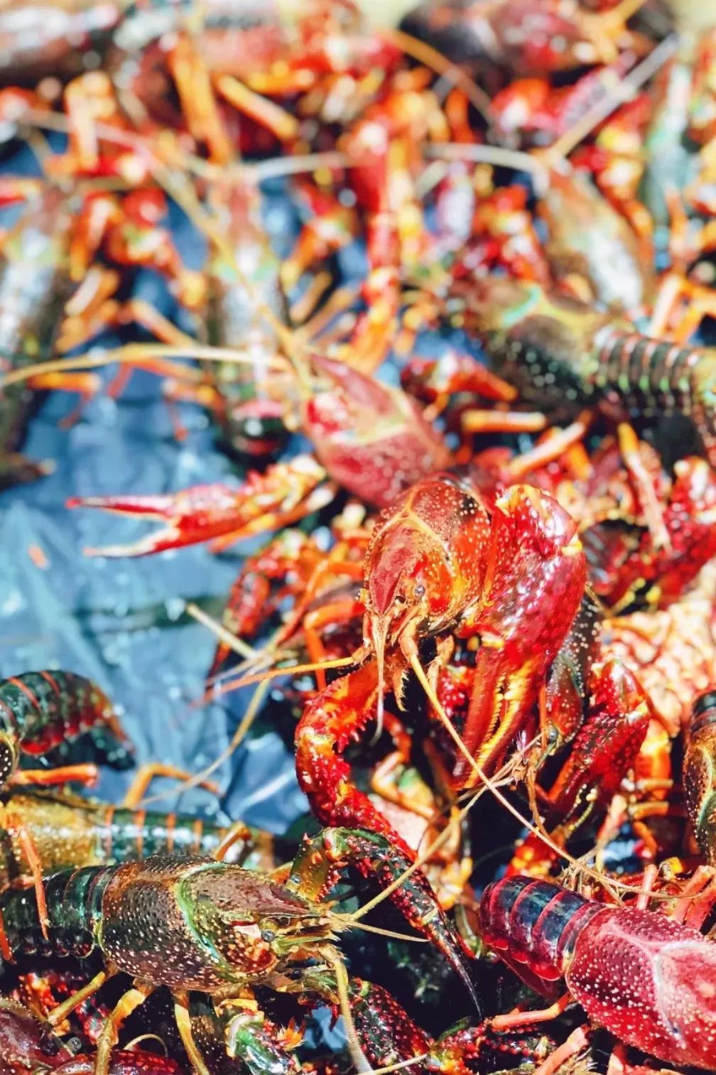 最新最全版私藏版《西安批发市场地图》来啦