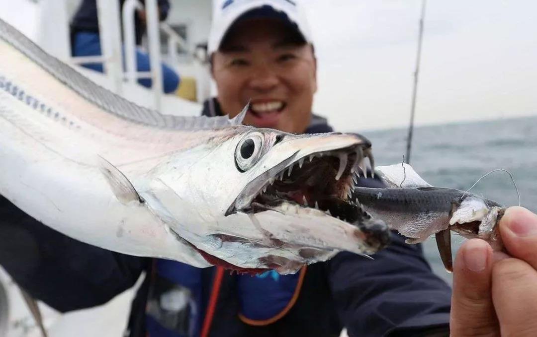 天亚夜钓带鱼技巧视频,天亚钩钓带鱼绝密配方
