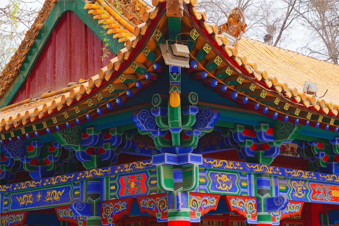 宁夏银川街心公园,银川兴庆区宁园门票多少