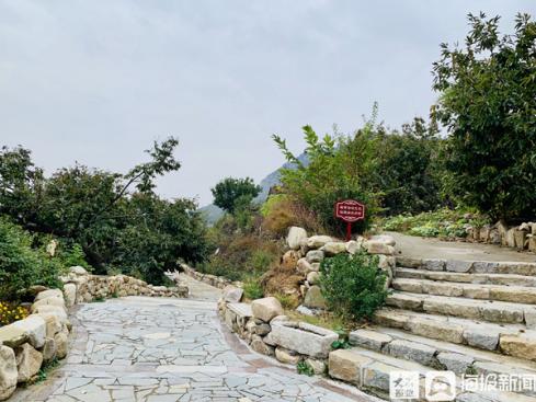 20多家主流媒体齐聚,一百多家媒体关注蒙阴