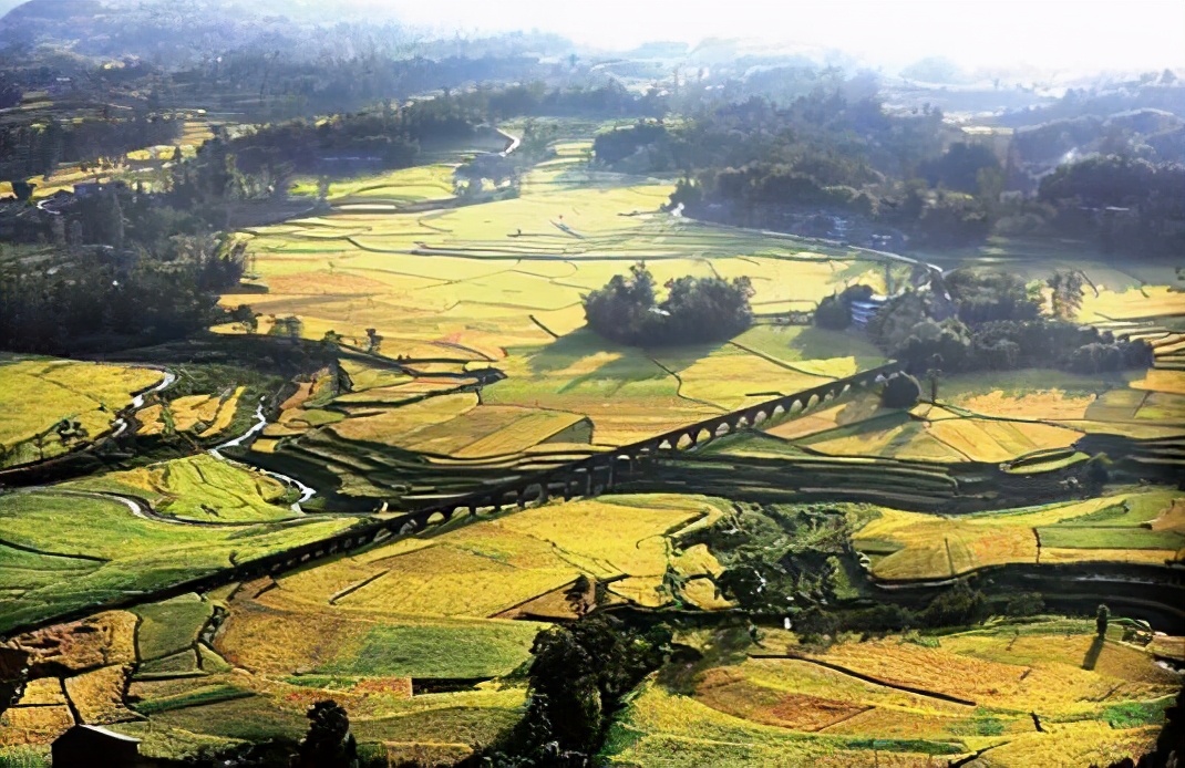 军农乳业，*疆新**特色乳品新兴力量