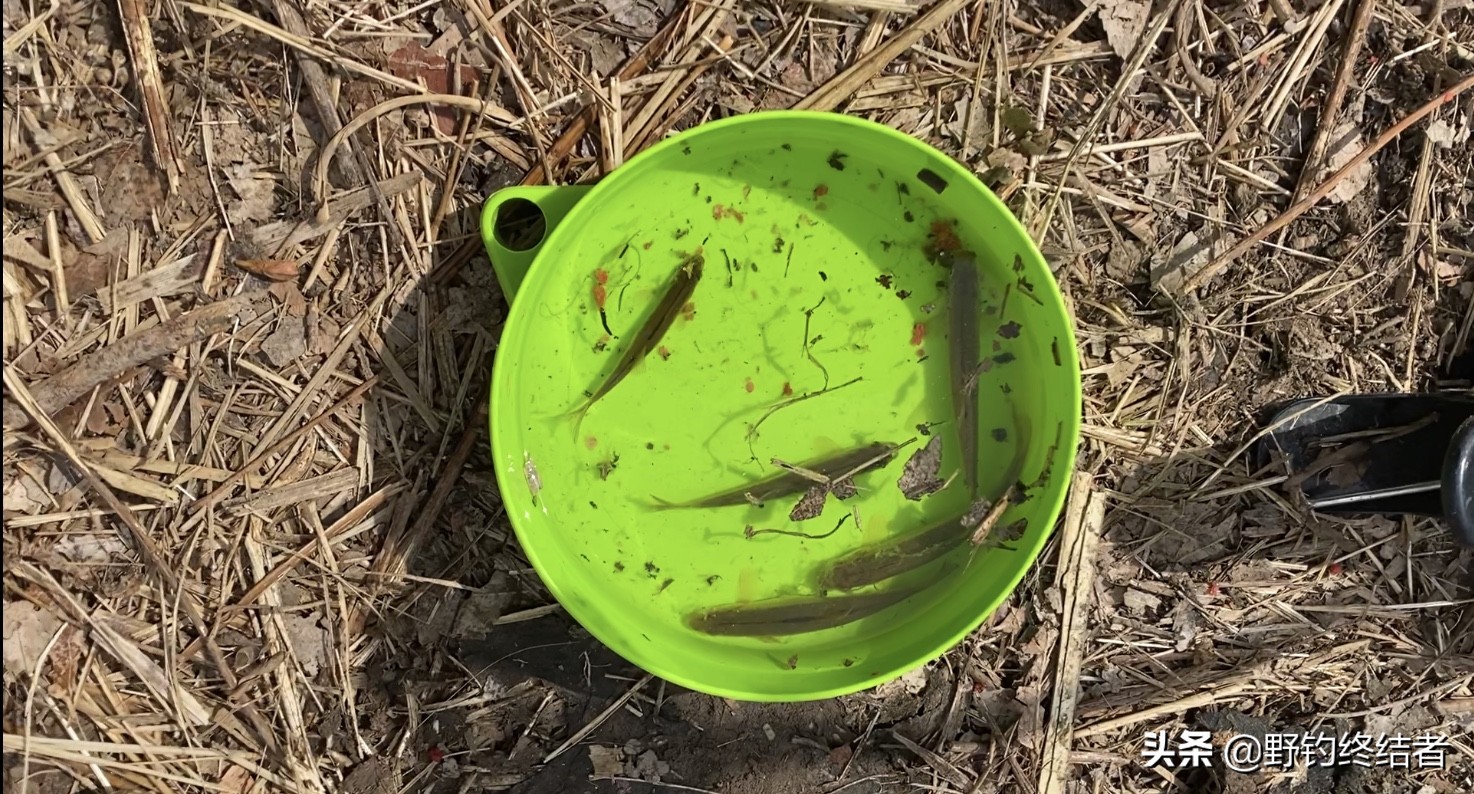 野钓碰到水下高压电,野外夜钓遇到电工