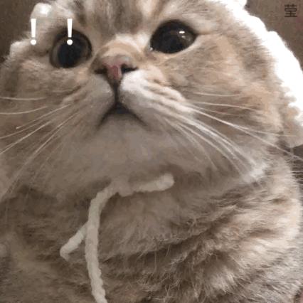 英国国王怎么也想不到，给他设计的童装在157年后火成这样