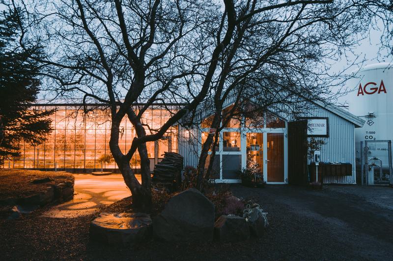 飘雪的季节,你要来一次冰岛(附冬季环游攻略)