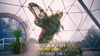 这也能拍出花?网飞又开挂了,每集都让我惊掉下巴