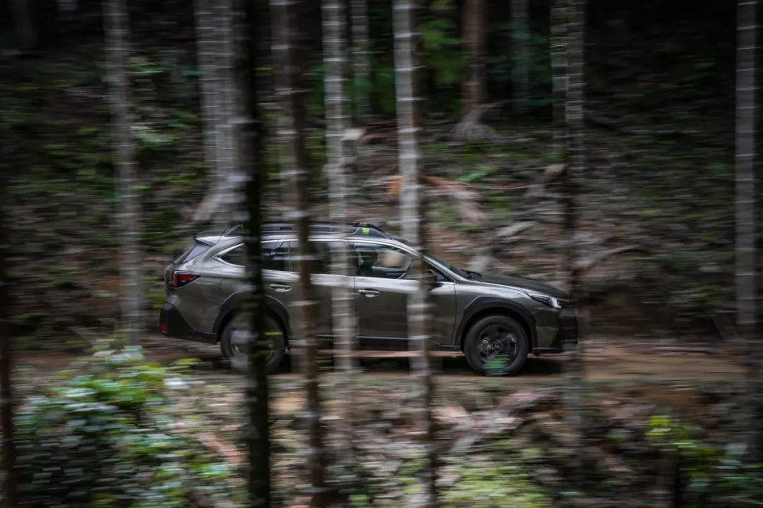 斯巴鲁傲虎森林人,斯巴鲁森林人钢铁直男