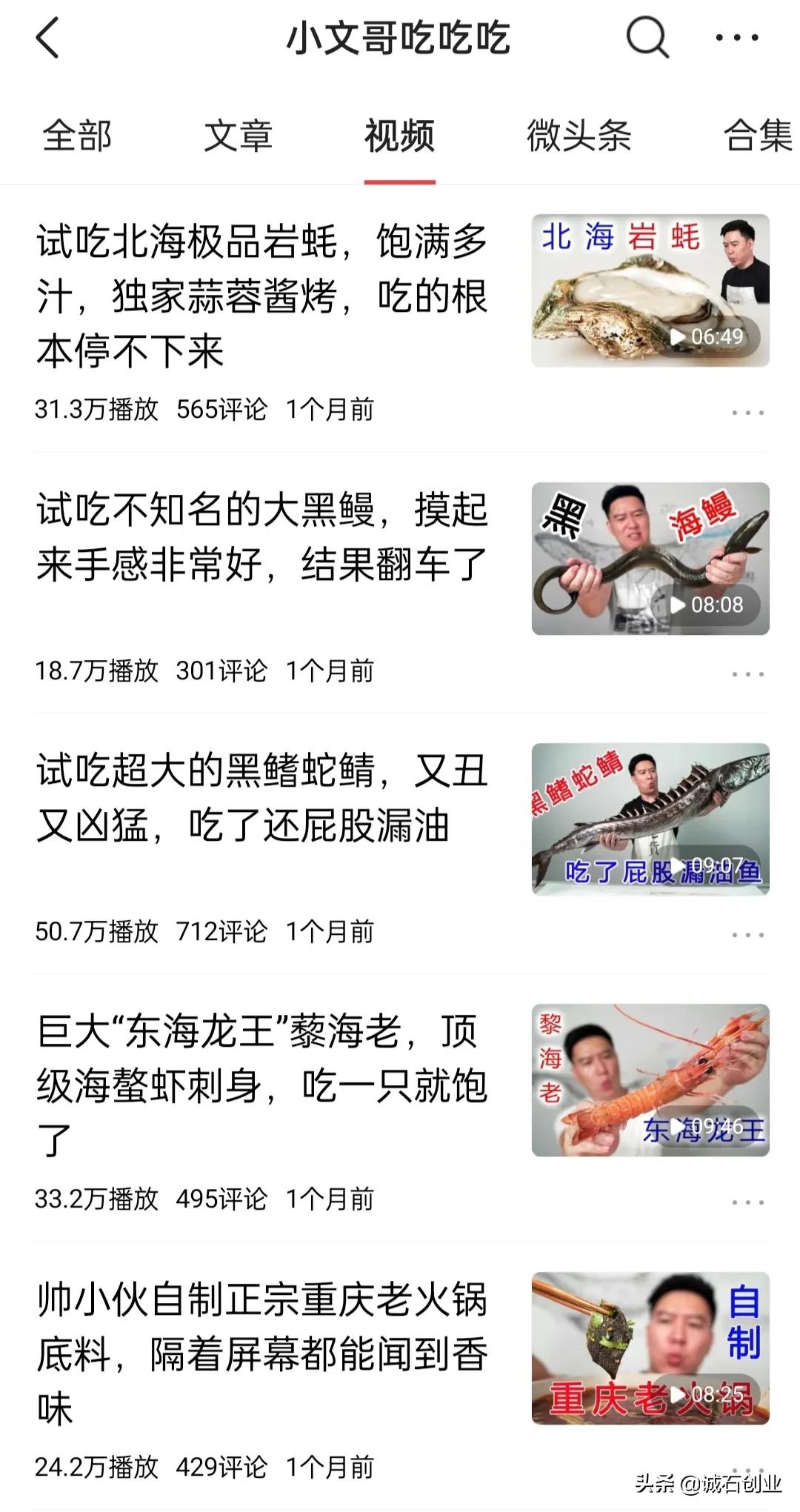 美食自媒体前十名,美食自媒体创业视频教程