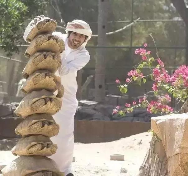 揭秘迪拜真实生活,国外生活真实记录迪拜