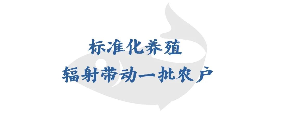 今年双十一，斗门这款产品爆卖100000+！你猜是……