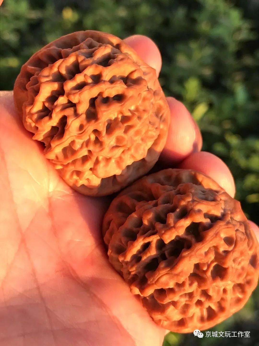 文玩核桃怎么刷才有光泽,文玩核桃如何刷得更亮