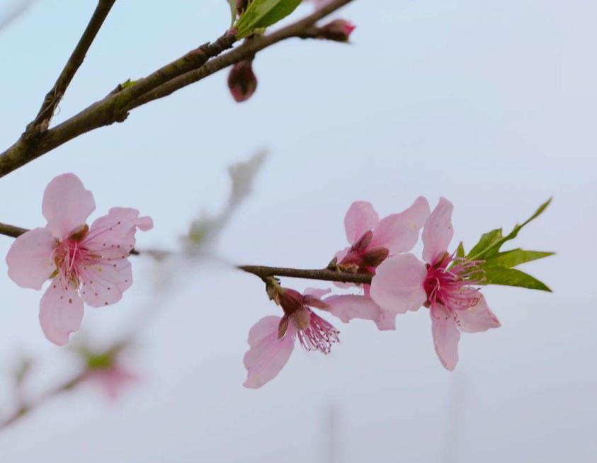 最好用的儿童故事机,儿童讲故事机推荐