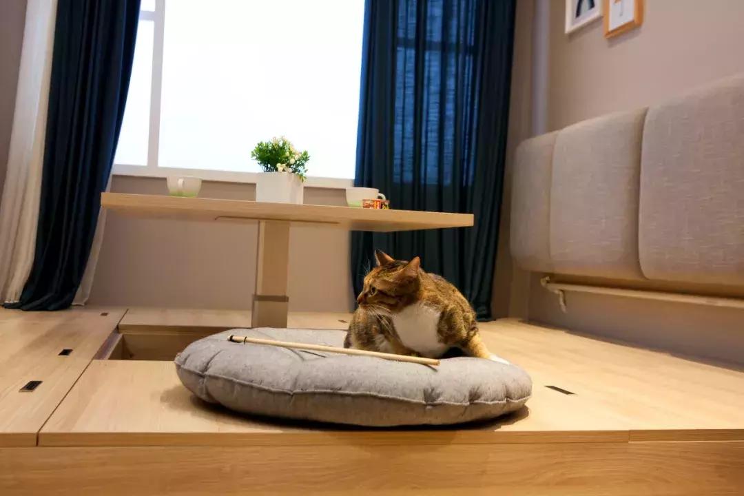 两个房间都做榻榻米后悔了,装榻榻米后悔了怎么办