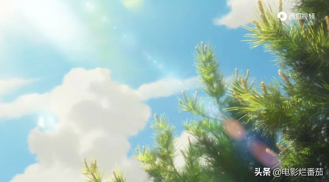 这部温情的撸猫片，让我哭得溃不成军，这是全世界猫*党**的胜利