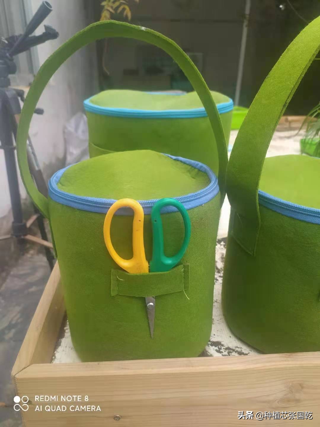 韭菜种植设计图,韭菜创意种植