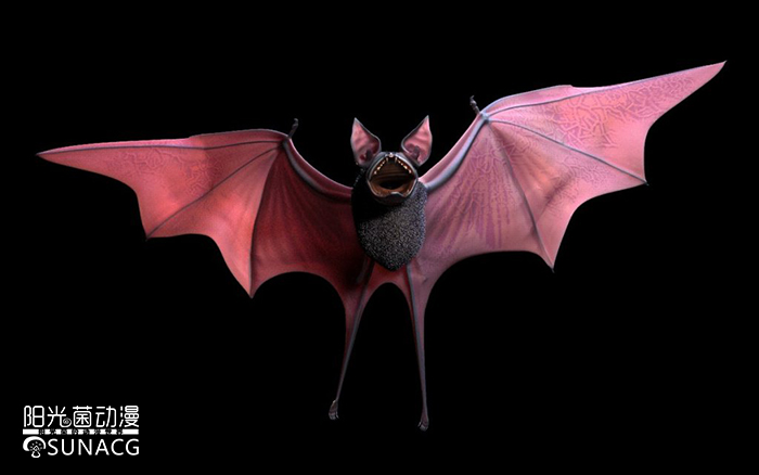 宠物小精灵哪个神奇宝贝最厉害,宠物小精灵里面稀有的神奇宝贝