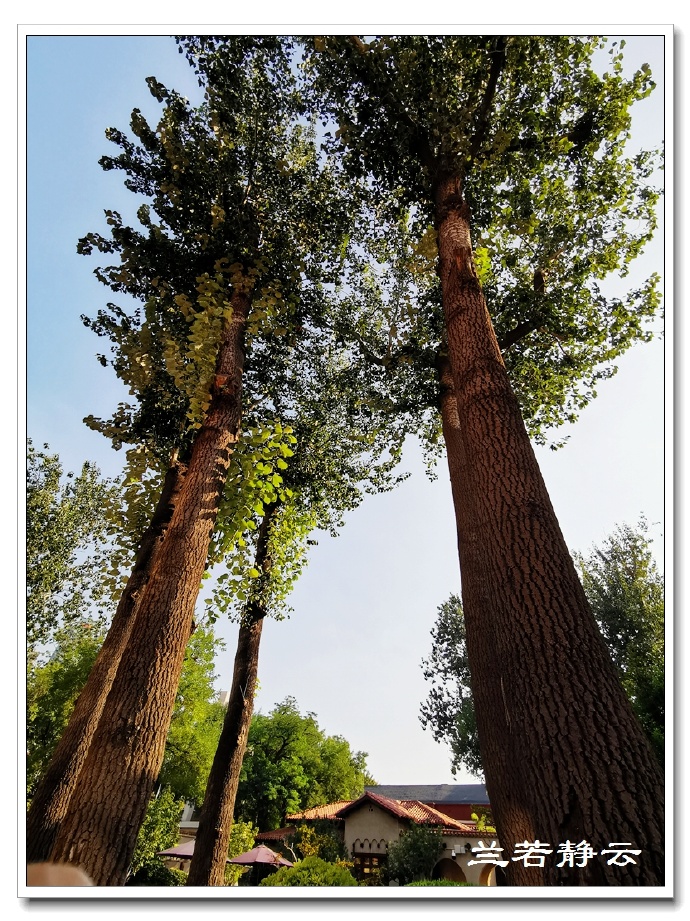 天津末代皇帝溥仪静园书房,天津溥仪静园