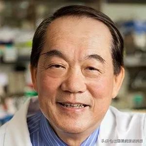 白蘑菇癌症病人可以吃吗,白蘑菇有副作用吗