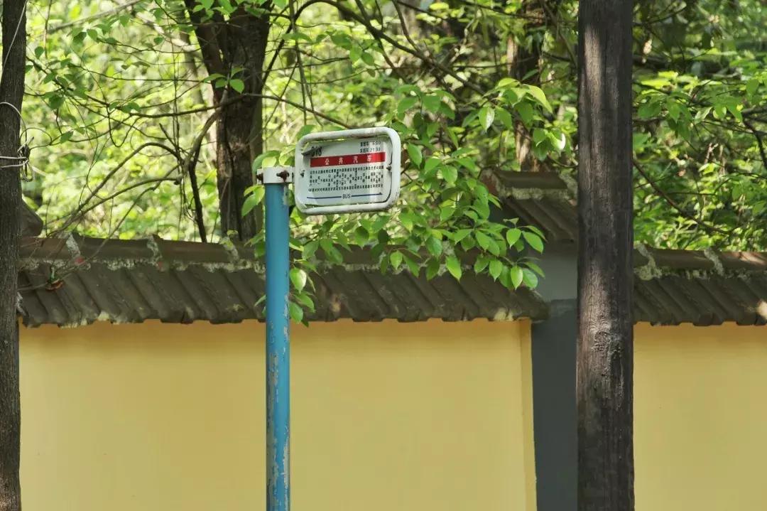 灵谷寺萤火虫7月,灵谷寺萤火虫目前还有吗