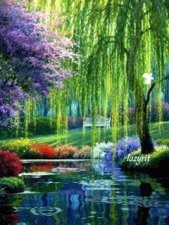 100张会动照片,30张罕见且迷人的图片