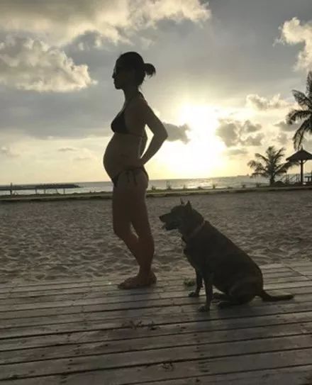 记录小狗狗的胎动瞬间,狗狗感受到了主人肚子里的胎动