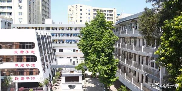 东莞市排名前十的民办中学,东莞中考民办招生分数最高学校