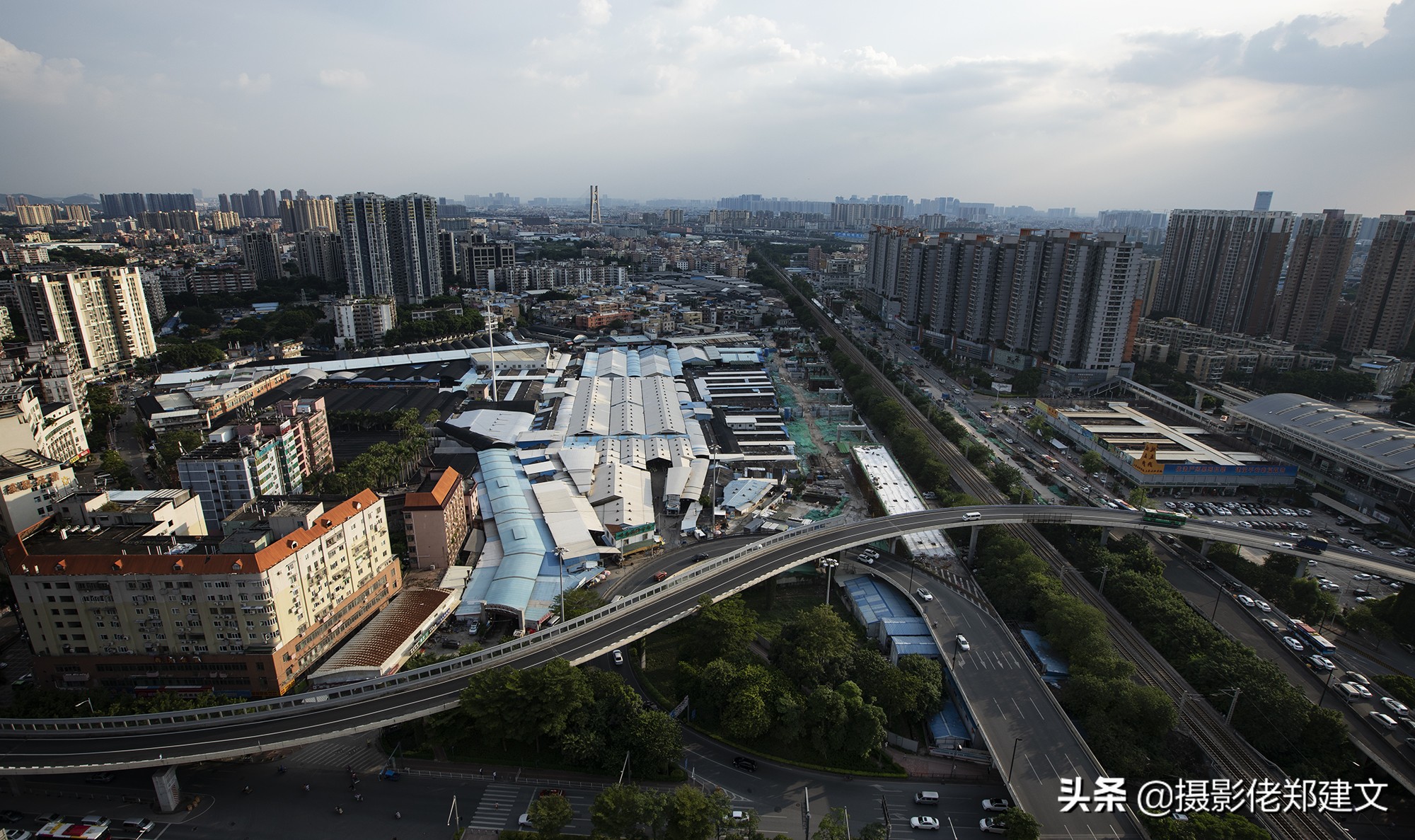 中国最大鲜花交易市场在哪座城市,南方最大的批发鲜花市场